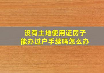 没有土地使用证房子能办过户手续吗怎么办