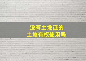 没有土地证的土地有权使用吗