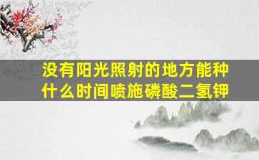 没有阳光照射的地方能种什么时间喷施磷酸二氢钾