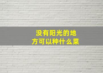 没有阳光的地方可以种什么菜