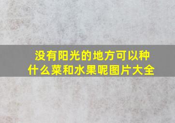 没有阳光的地方可以种什么菜和水果呢图片大全