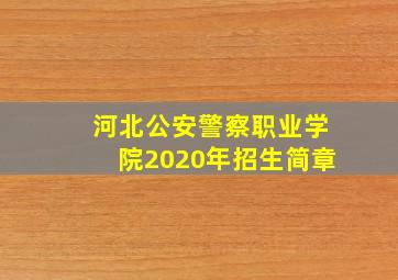 河北公安警察职业学院2020年招生简章