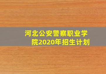 河北公安警察职业学院2020年招生计划