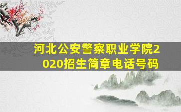 河北公安警察职业学院2020招生简章电话号码