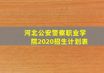 河北公安警察职业学院2020招生计划表