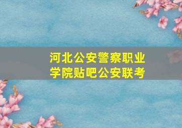 河北公安警察职业学院贴吧公安联考