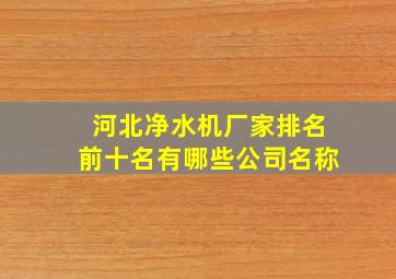 河北净水机厂家排名前十名有哪些公司名称