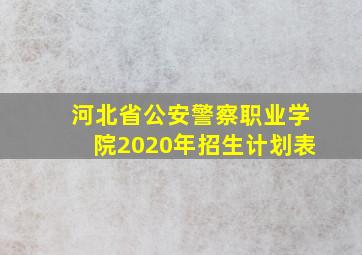 河北省公安警察职业学院2020年招生计划表