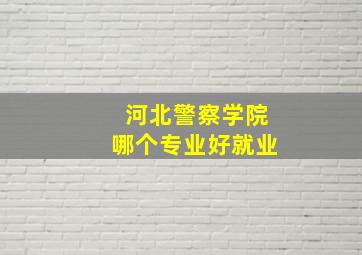 河北警察学院哪个专业好就业