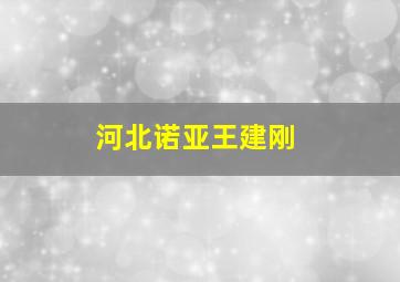 河北诺亚王建刚