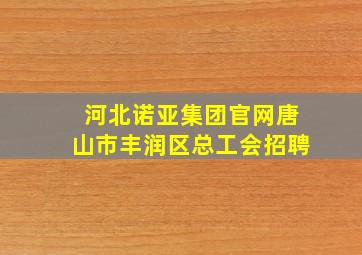 河北诺亚集团官网唐山市丰润区总工会招聘