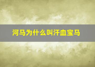 河马为什么叫汗血宝马