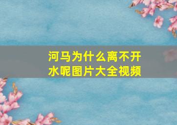 河马为什么离不开水呢图片大全视频