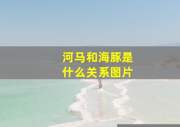 河马和海豚是什么关系图片