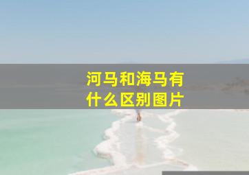 河马和海马有什么区别图片