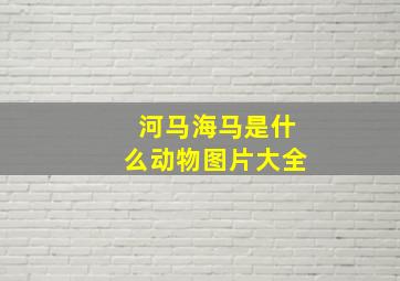 河马海马是什么动物图片大全