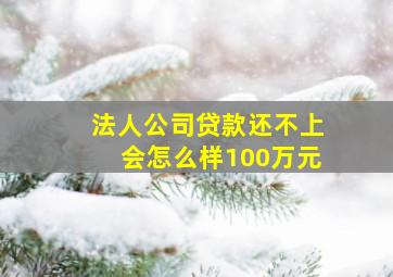 法人公司贷款还不上会怎么样100万元