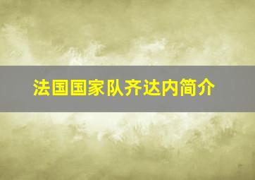 法国国家队齐达内简介