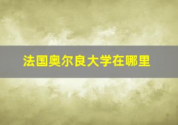 法国奥尔良大学在哪里