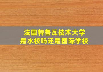 法国特鲁瓦技术大学是水校吗还是国际学校