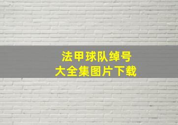 法甲球队绰号大全集图片下载