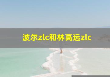 波尔zlc和林高远zlc