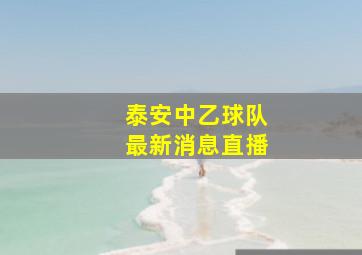 泰安中乙球队最新消息直播