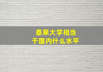 泰莱大学相当于国内什么水平