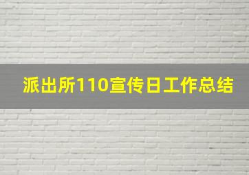 派出所110宣传日工作总结