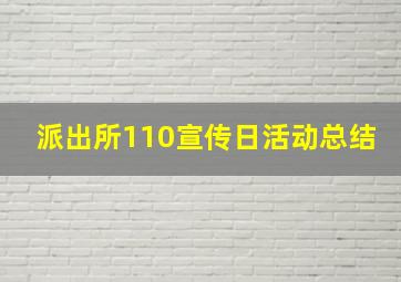 派出所110宣传日活动总结