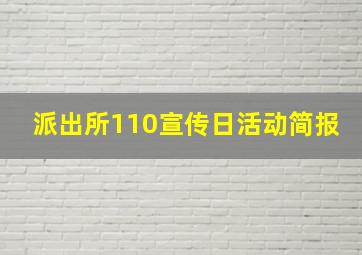 派出所110宣传日活动简报