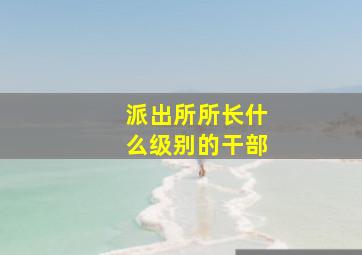 派出所所长什么级别的干部