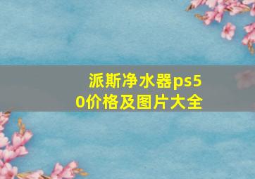 派斯净水器ps50价格及图片大全