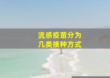 流感疫苗分为几类接种方式