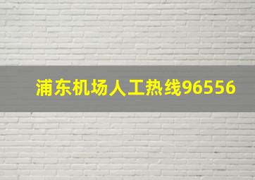 浦东机场人工热线96556