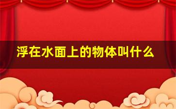 浮在水面上的物体叫什么