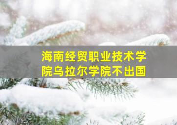 海南经贸职业技术学院乌拉尔学院不出国