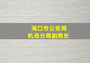 海口市公安局机场分局副局长