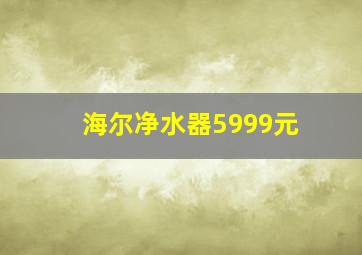 海尔净水器5999元