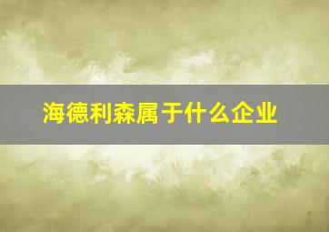 海德利森属于什么企业