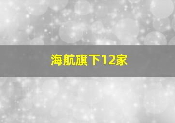 海航旗下12家