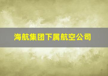 海航集团下属航空公司