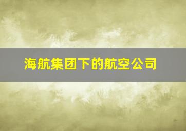 海航集团下的航空公司