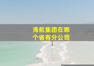 海航集团在哪个省有分公司