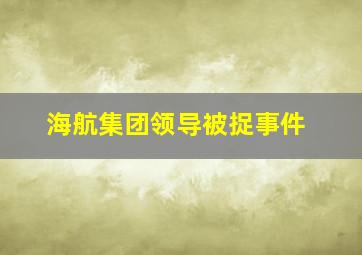 海航集团领导被捉事件