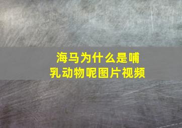 海马为什么是哺乳动物呢图片视频