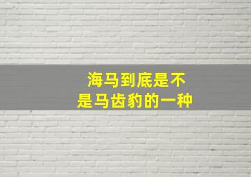 海马到底是不是马齿豹的一种