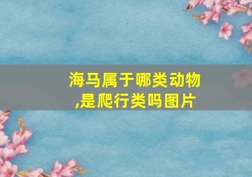 海马属于哪类动物,是爬行类吗图片