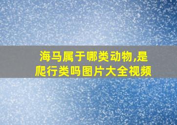 海马属于哪类动物,是爬行类吗图片大全视频