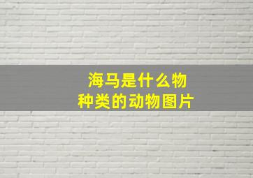 海马是什么物种类的动物图片